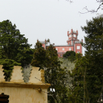 p1220679